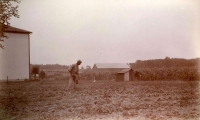 Hoeing Strawberries in Alpha, Ohio